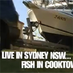Ambitious fishing DVD release
